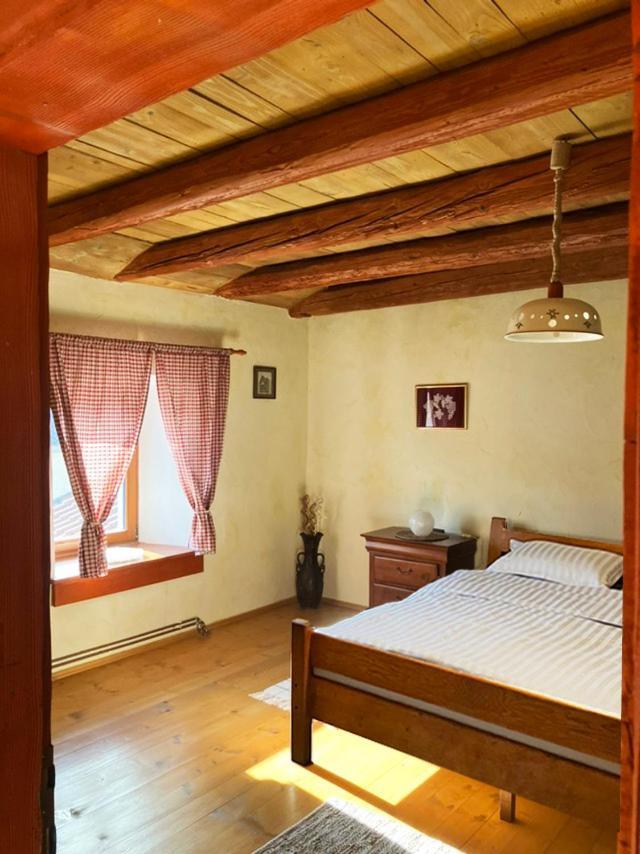 Apartment Adori